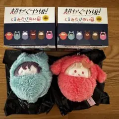 超かぐや姫 くるみたぴぬい かぐや 彩葉 セット - メルカリ