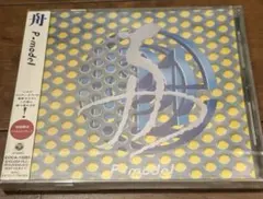 P-MODEL　平沢進　コレクティブエラーズ re-mix of 舟ＣＤ Amazon.co.jp: P-MODEL 平沢進 コレクティブエラーズ re-mix of