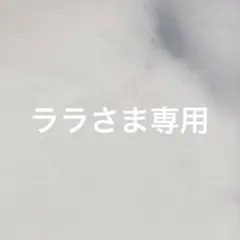 ララ様専用