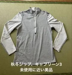 Item thumbnail for item 75d87671-36c5-4edd-bdef-de34f43fd07c