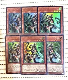 【遊戯王】　セネトの啓示者　ネフェルタリ　ウルトラ6枚