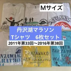 ✨美品✨丹沢湖　マラソン　Tシャツセット