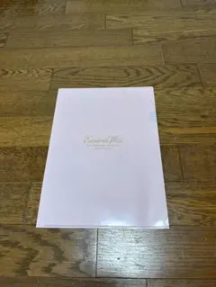 EmiriaWiz クリアファイル ピンク 非売品ノベルティのサムネイル