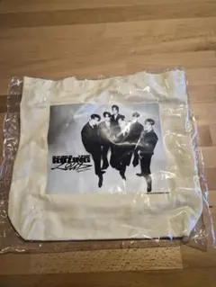 RIIZE　東京ドーム　アプグレ特典　トートバッグ