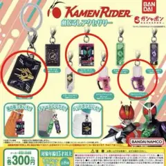 めじるしアクセサリー 仮面ライダー 3種セット ガシャット デッキ カード