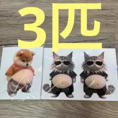 おなか ぷにぷに シール 柴犬 仲間 ステッカー 3D 立体シール ねこ 3匹