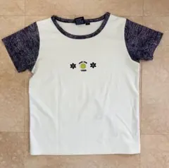 Item thumbnail for item 83c98c74-af88-46c4-aef9-cdff84bdadcd