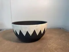 手作植木鉢 グラデーション植木鉢（ 塊根植物 グラキリス パキプス