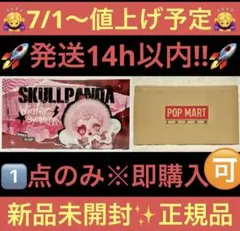 1点限り※正規品【アソート】SKULLPANDA Winter Symphony