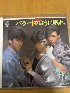 2025年最新】少年隊（錦織一清、東山紀之、植草克秀）の人気アイテム