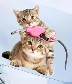 猫 ガソリン給油ノズル ステッカー デカール
