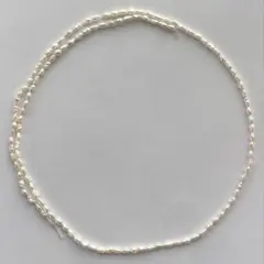 Item thumbnail for item e205ede1-c62f-4424-9e72-24a51432315c