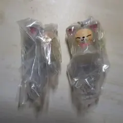 straykids SKZOO FoxI.Ny フォクシニー アイエン セット