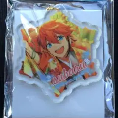 明星スバル コレクション缶バッジ 24点 明星スバル あんスタ コレクション缶バッジ 2025 Mar. Idol