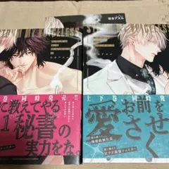 ストラムマイボイスレス　上下