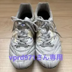 ミズノモナルシーダネオ2 SWKL27.0