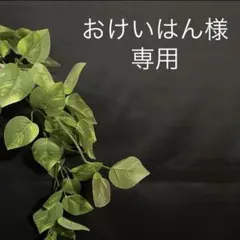 おけいはん様　ダブルガーゼ　春ブラウス