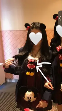 ミニーマウス 肩のせぬいぐるみ