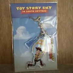スカイツリー限定 toystory トイストーリー ウッディー 値下げ不可