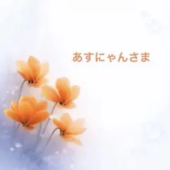 あすにゃん様 リクエスト 2点 まとめ商品