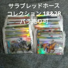 サトノダイヤモンド 直筆サインカード ( サラブレッドホースコレクション ) サラブレッドホースコレクション ウエハースカード サトノ