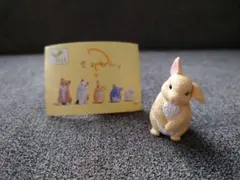 きょとん。【うさぎ】