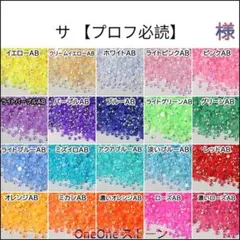 サ 【プロフ必読】　様