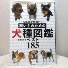 Item thumbnail for item a9f5f901-3b7b-4b74-9111-ffecd01486d0