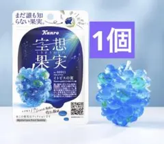 Kanro 空想果実 イトピスの実 新品のサムネイル