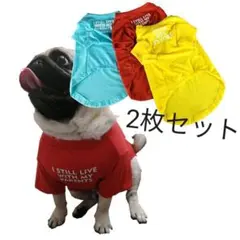 Item thumbnail for item 40fcfef9-8086-4abf-bdf5-7f6c407d161d