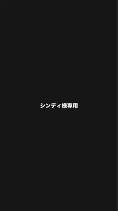 こちら専用出品です