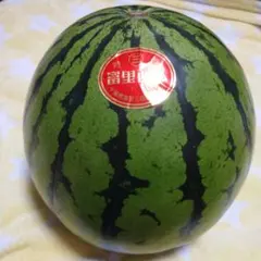 フ*ん様 高知産　約１６kg　大玉すいか　加領郷特産品　品種　羅皇 フ*ん様 高知産 約16kg 大玉すいか 加領郷特産品 品種 羅皇 - メルカリ