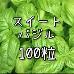 katkk様 リクエスト 2点 まとめ商品