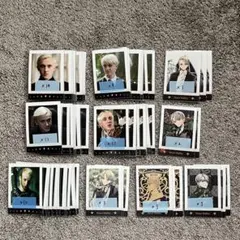 マルフォイ パシャこれ 15枚 15.ドラコ・マルフォイ】ハリー・ポッター ぱしゃこれ 実写