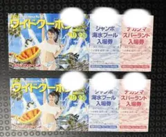 ナガシマスパーランド ワイドクーポン 2冊セット - メルカリ