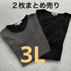 大きいサイズ　黒　半袖Tシャツ 2枚セット ボーダー 無地　古着　3L【匿名】のサムネイル