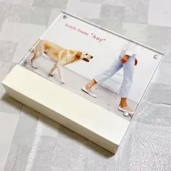 Item thumbnail for item 37bd63ad-5052-4b37-9b26-7f45279b84ef