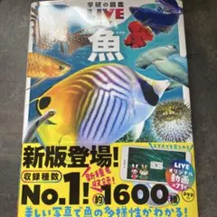 魚 新版