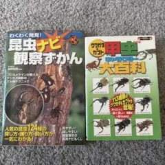 クワガタ&カブト甲虫　キャラクター大百科　昆虫ナビ観察ずかん