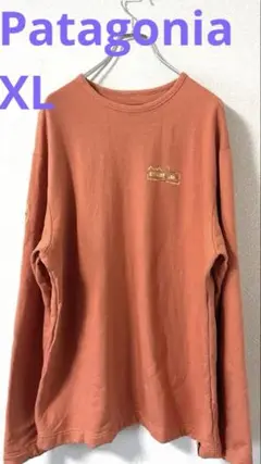 【美品】PatagoniaライトウェイトユニティフィッツワイルドライズクルーXL