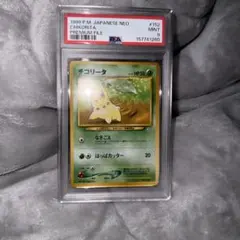 チコリータ_プレミアムファイル PROMO PSA9