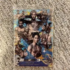 ❗️まとめ売り❗️RIZINウエハース'24