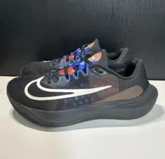 Nike Zoom Fly 5 A.I.R. HOLA LOU 27.0cm