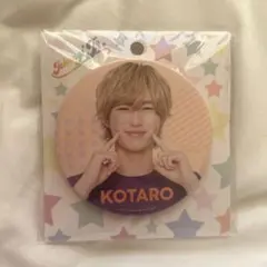 2026年最新】岡崎彪太郎の人気アイテム - メルカリ