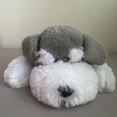 ティッシュケース