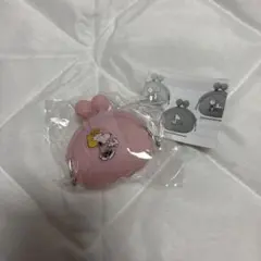 PEANUTS クリアシリコン小物入れ スヌーピー＆Sally