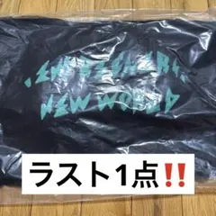 Item thumbnail for item eeec84de-e1cb-43e1-aa2a-1104e4128039