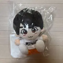 なにわ男子　大西流星　ちびぬい　第1弾