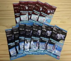 ホロライブ　メタリックパスコレクション