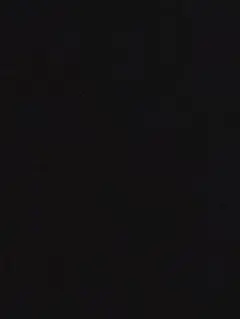 【専用】ミュウツーEX プロモカード25th ANN